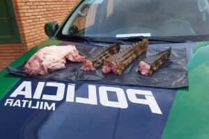 Caçadores são presos com caudas de jacarés e carne de animais abatidos em MS