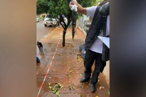 Suspeito de matar homem a facadas é preso em São Gabriel