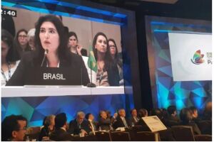 Ministra Simone Tebet afirma que o Brasil aumentará produção agrícola sem desmatamento ilegal
