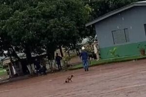 Homem atira em cachorro e vai preso no Mato Grosso (vídeo)