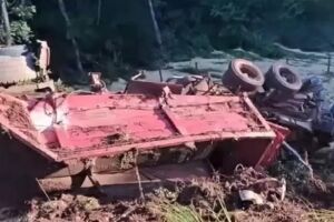 Veículo estava carregado de soja