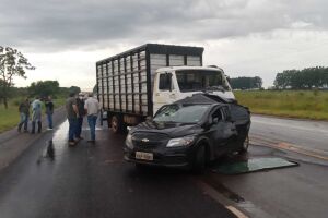 O caminhão carrega gado