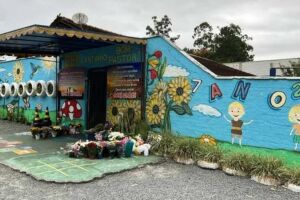 Creche atingida por ataque vai pedir apoio psicológico ao governo após morte de crianças
