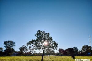 Céu limpo e sem nuvens nesta sexta-feira