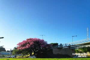 Calorão reaparece após dias de instabilidade