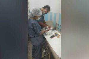 Criança passou por avaliação médica