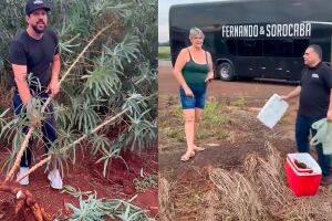 Sorocaba passou por MS antes de show no Paraguai
