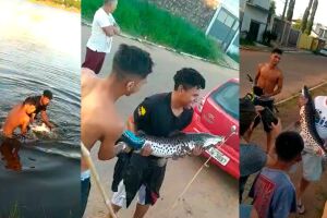 Moradores se divertem ao fisgar peixe 'gigante' na Lagoa Itatiaia (vídeo)