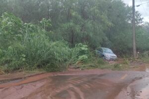 Carro praticamente foi salvo pelo matagal que ajudou a parar o veículo