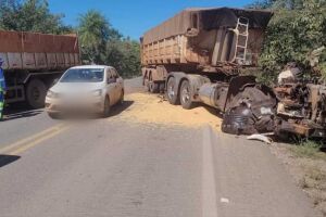 Soja ficou espalhada pela rodovia