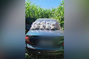 No veículo haviam 500 Kg de maconha e 5Kg de skank
