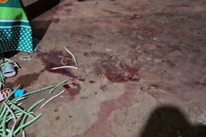 Briga de casal termina com jovem agredido a paulada por sogro em Rio Brilhante 