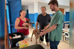 Prefeitura vacina animais no Estrela Dalva neste sábado