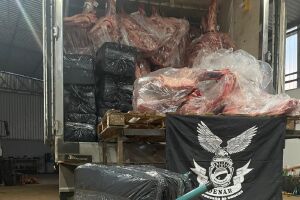 Grupo é organizado e usava Campo Grande como entreposto