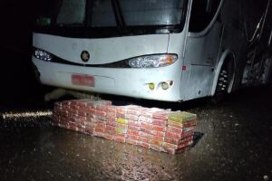 Ônibus com bolivianos ilegais levava droga na BR-163 