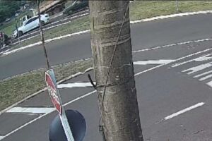 Vídeo flagra momento em que caminhão em alta velocidade tomba e invade escola em Campo Grande