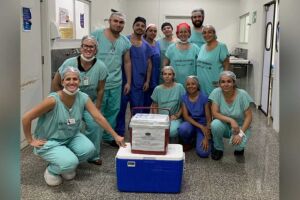 Doação de órgãos de criança de 3 anos afogada leva esperança após tragédia