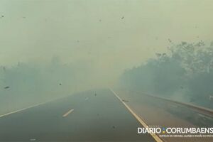 Fogo chegou a invadir pista da BR-262 