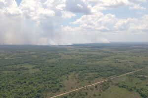 Fogo se alastra rapidamente de Pantanal do MT para Pantanal de MS