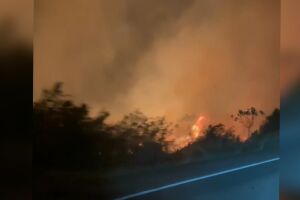 Incêndio se espalha e toma conta de vegetação às margens da BR-262 (vídeo)