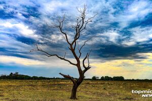 Céu de Campo Grande nesta manhã