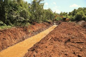 O assoreamento acabou com o leito natural do c&oacute;rrego