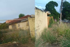 Casa abandonada vira criadouro do mosquito da dengue e situação preocupa na Vila Glória (vídeo)