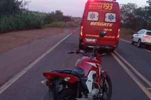 Motociclista fica ferido ao atropelar tamanduá morto na rodovia em Bataguassu