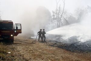 Riedel destacou medidas emergenciais 