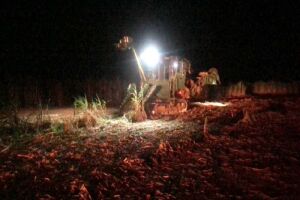 Trabalhador morre eletrocutado ao encostar máquina em fio de alta tensão em Naviraí