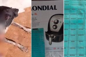 Dona faz apelo para pagar cirurgia da cadela Mel 