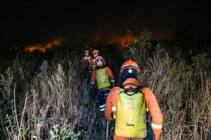 Fogo atinge região do Pantanal de MS 