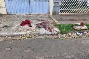 Mulher mata catadora de recicláveis por ciúmes do namorado no Guanandi