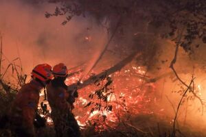 Vento atrapalha os trabalhos e ajuda a progressão do fogo