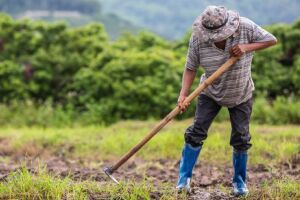 Governo de MS exalta aumento de investimento em edital 