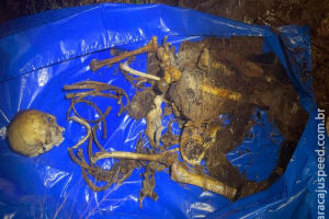 Ossada humana é encontrada em fazenda de Maracaju (vídeo)