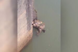 Polícia investiga causa da morte de agricultor encontrado em decomposição no Rio Sucuriú