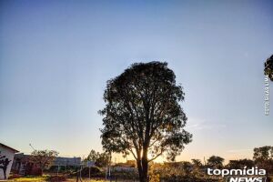 Em Campo Grande, são esperadas mínima de 17°C e máxima de 32°C