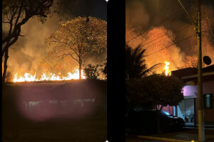 Incêndio em área de mata no Bairro Flor de Maio deixa moradores de Dourados em alerta