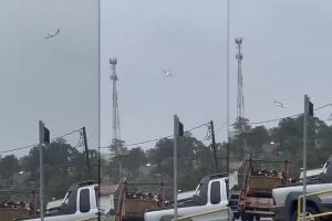 Avião cai em área residencial no interior de São Paulo (vídeo)