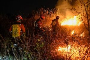 Bombeiros durante combate a incêndio no Pantanal