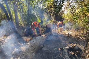 Apesar do frio e chuvas, Pantanal tem oito focos de queimadas