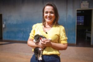 Campo Grande inova com atendimento de unidade pública para cães e gatos