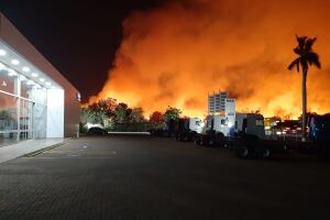 Incêndio atinge vegetação ao lado de rodovia, na saída para São Paulo (vídeo)