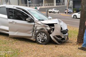 O carro dela chegou a subir o canteiro central e bater contra uma árvore