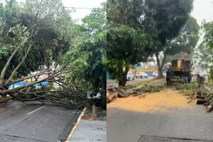 Avenida deve ser liberada ainda nesta amanhã