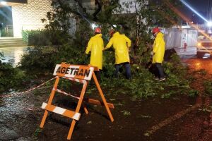 Equipes da prefeitura em trabalho pela cidade