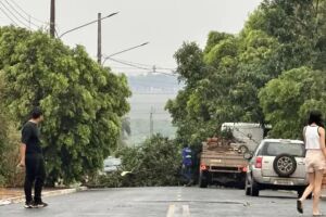 Temporal destelha casa, comércios e assusta moradores em Paraiso das Águas