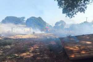 Terreno baldio é tomado por incêndio e fumaça na Mata do Jacinto 