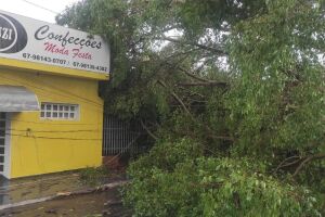 Tempestade chega em Cassilândia e deixa rastro de destruição (vídeo)